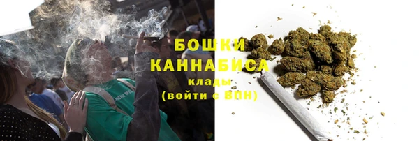 каннабис Новозыбков