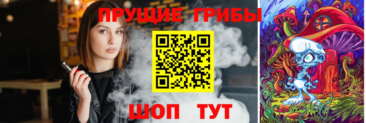 Галлюциногенные грибы прущие грибы  продажа наркотиков  Лосино-Петровский 
