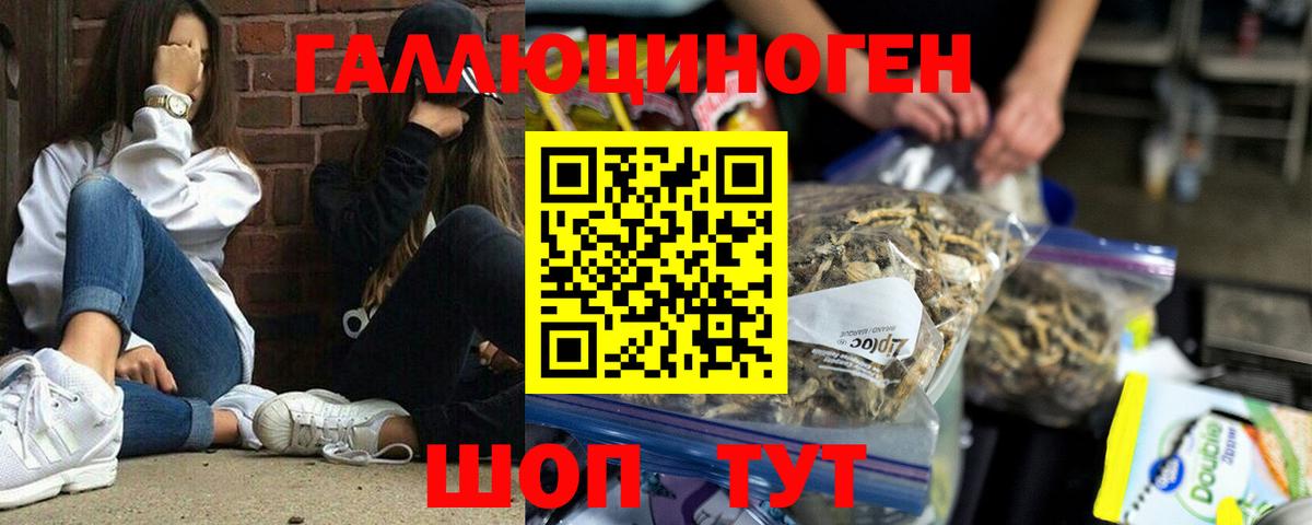 Галлюциногенные грибы прущие грибы Лосино-Петровский