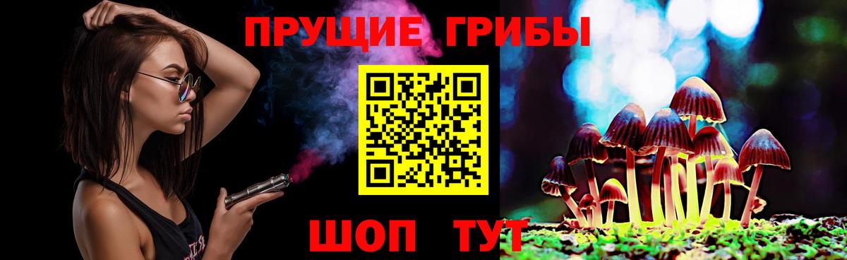 Псилоцибиновые грибы GOLDEN TEACHER  Вход с VPN  Лосино-Петровский 